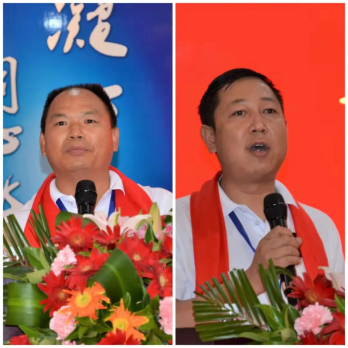 图片12 图片12