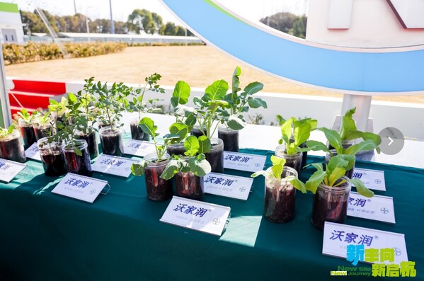 现场展示的沃家润®对照实验 现场展示的沃家润®对照实验