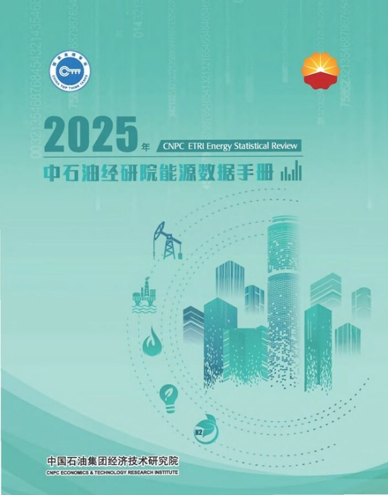 2025年《中石油经研院能源数据手册》 2025年《中石油经研院能源数据手册》