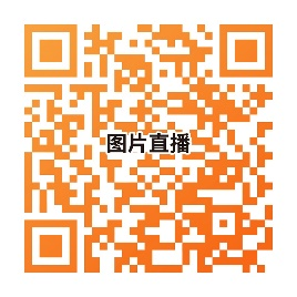 图片21 图片21